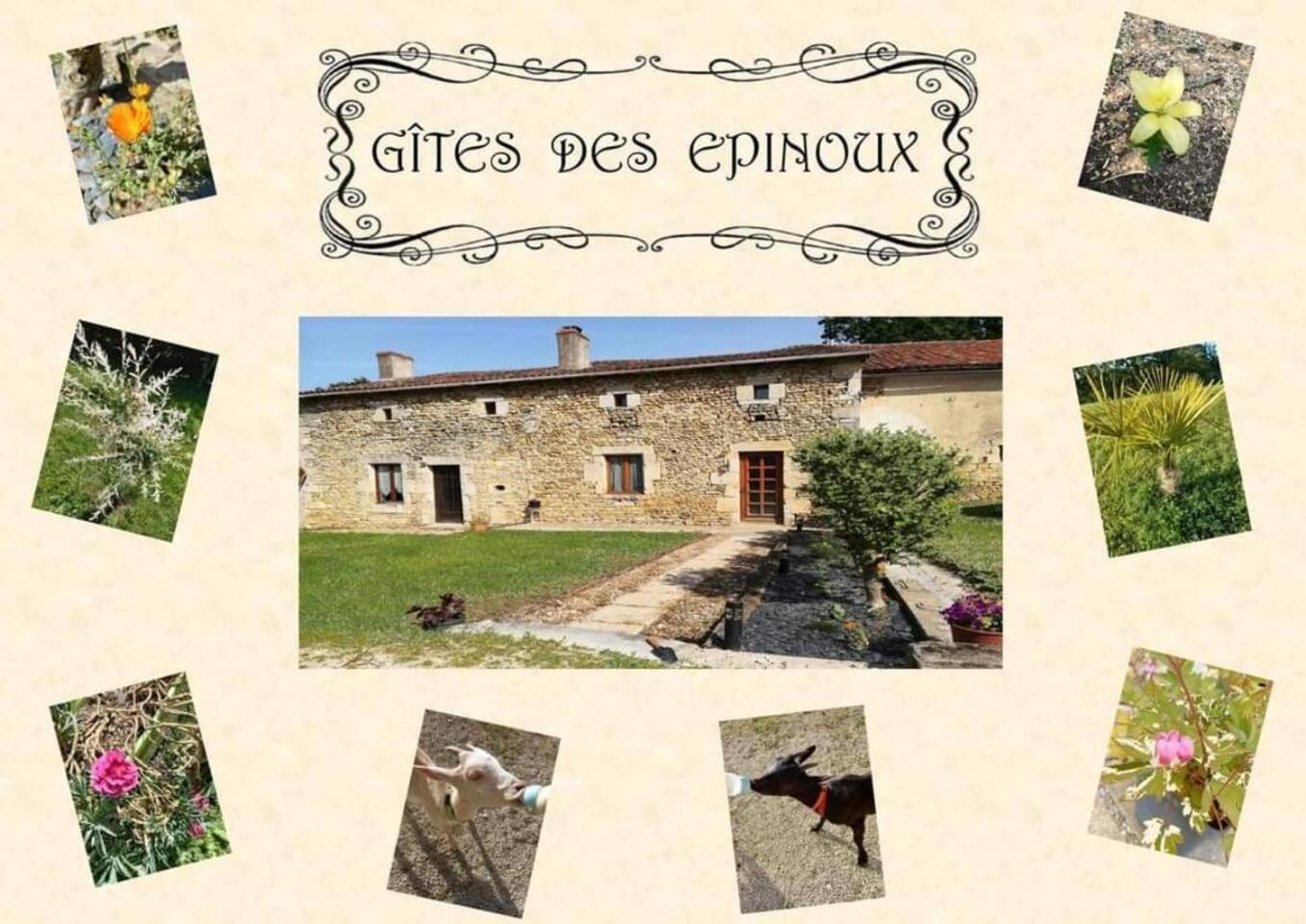 Le Papillon Savigne Exterior foto